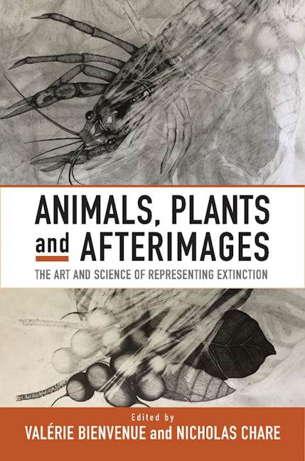 Book cover image for Animals, Plants and Afterimages ISBN: 9781800734258
