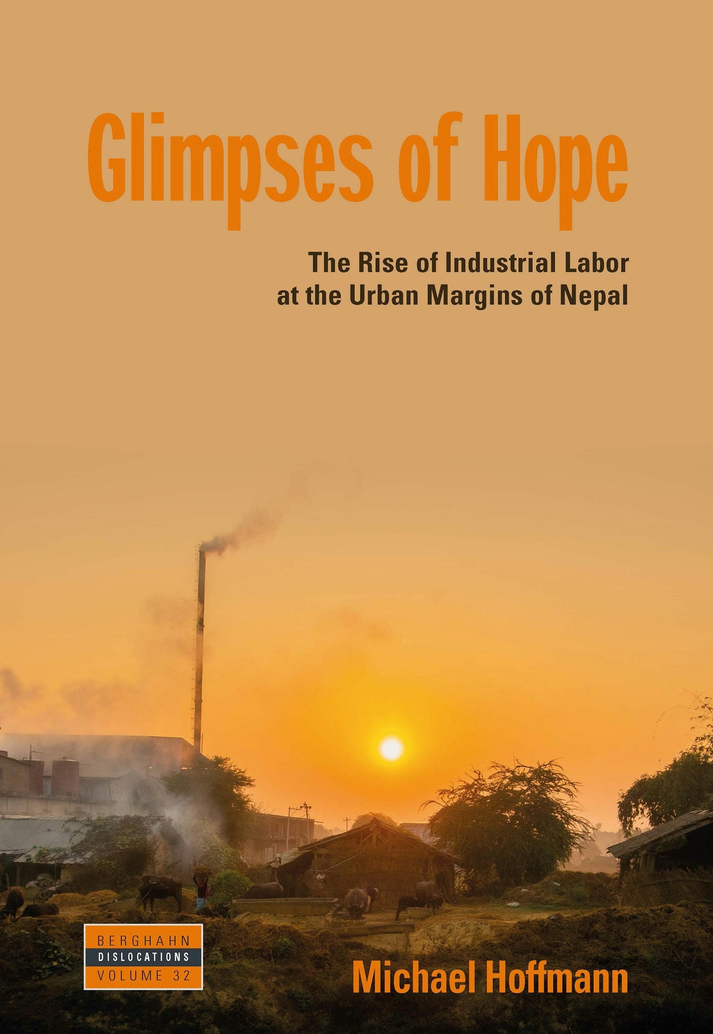 Book cover image for Glimpses of Hope ISBN: 9781800738102