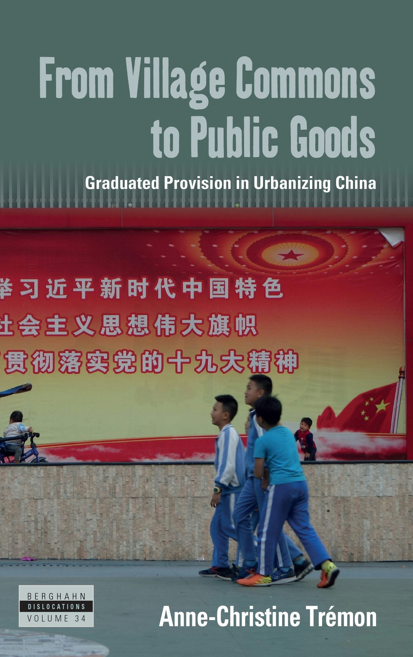 Book cover image for From Village Commons to Public Goods ISBN: 9781800739000