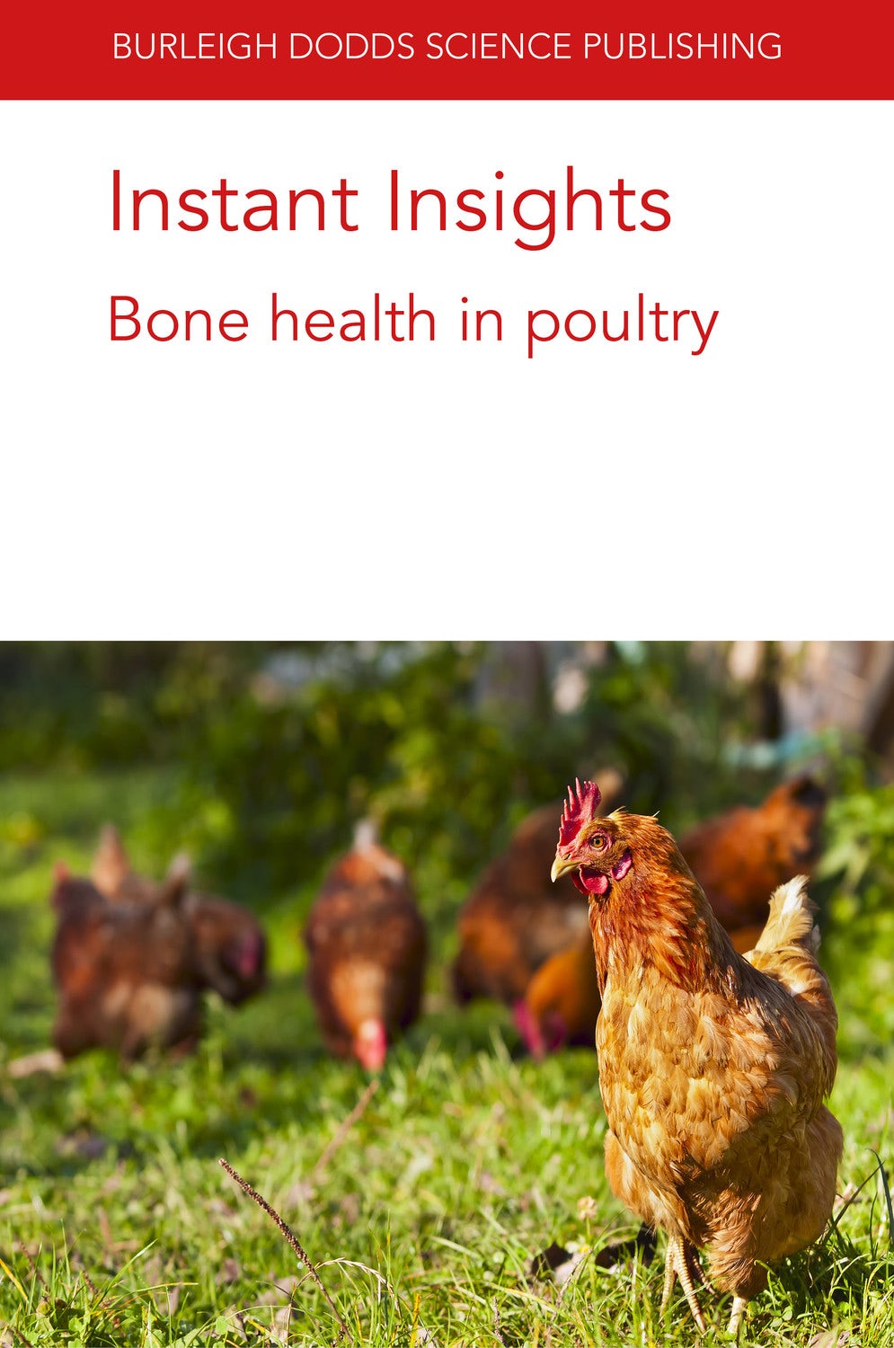 Book cover image for Instant Insights: Bone health in poultry ISBN: 9781801460132