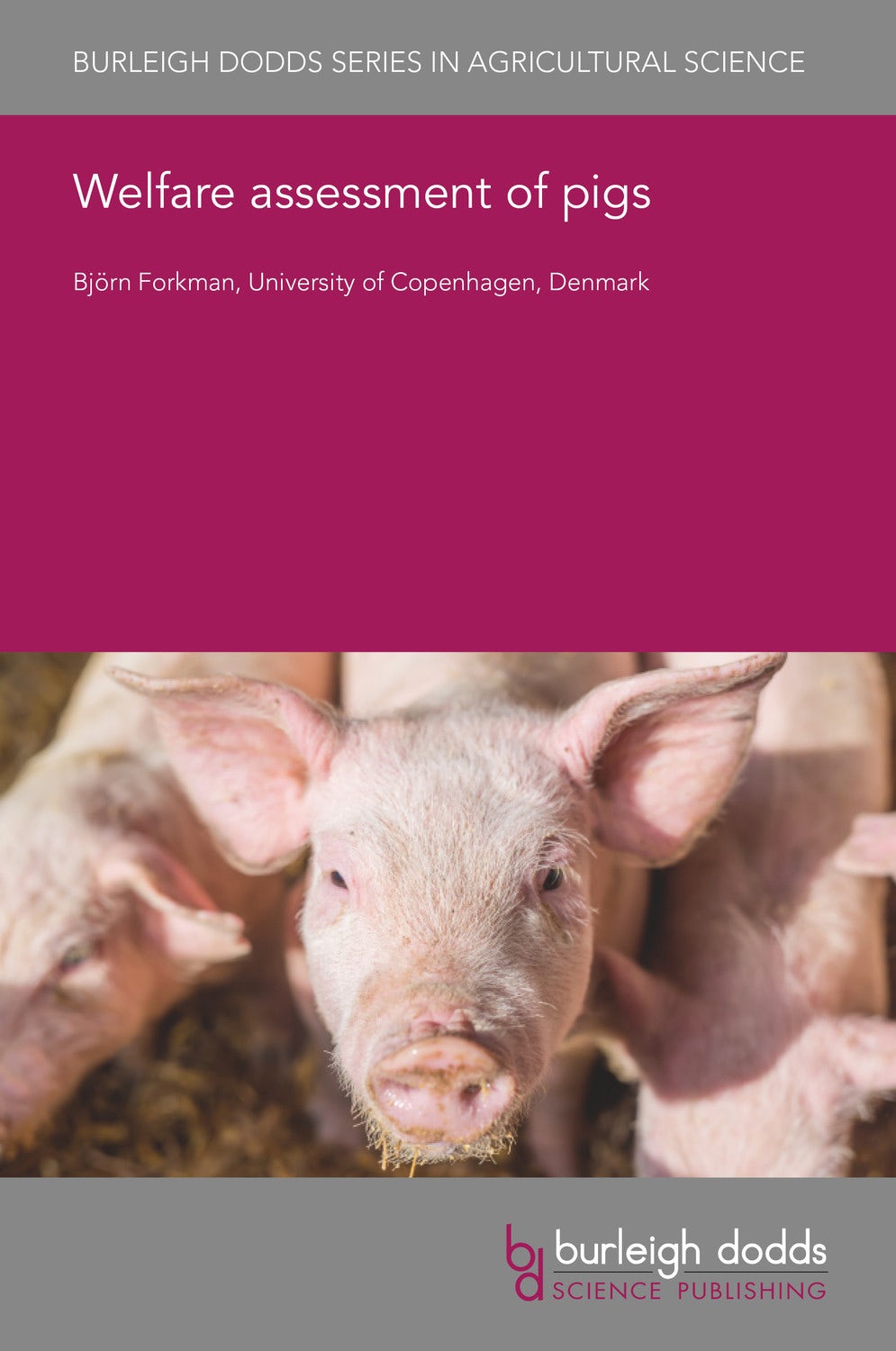 Book cover image for Welfare assessment of pigs ISBN: 9781801460354
