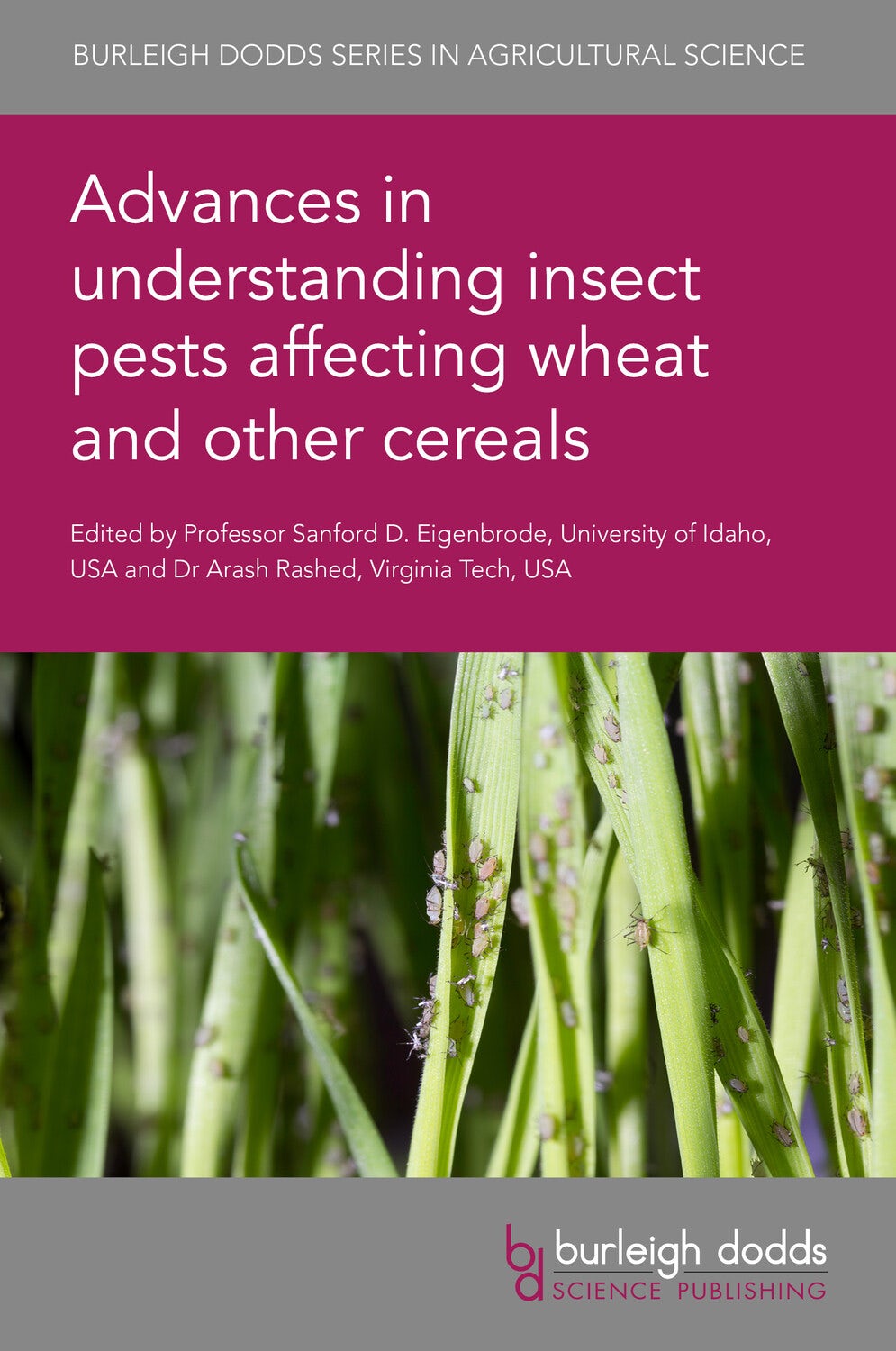 Book cover image for Advances in understanding insect pests affecting wheat and other cereals ISBN: 9781801461139