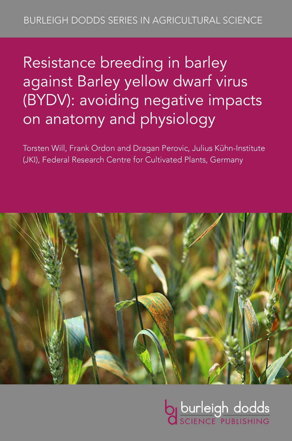 Book cover image for Resistance breeding in barley against Barley yellow dwarf virus (BYDV): avoiding negative impacts on anatomy and physiology ISBN: 9781801463089