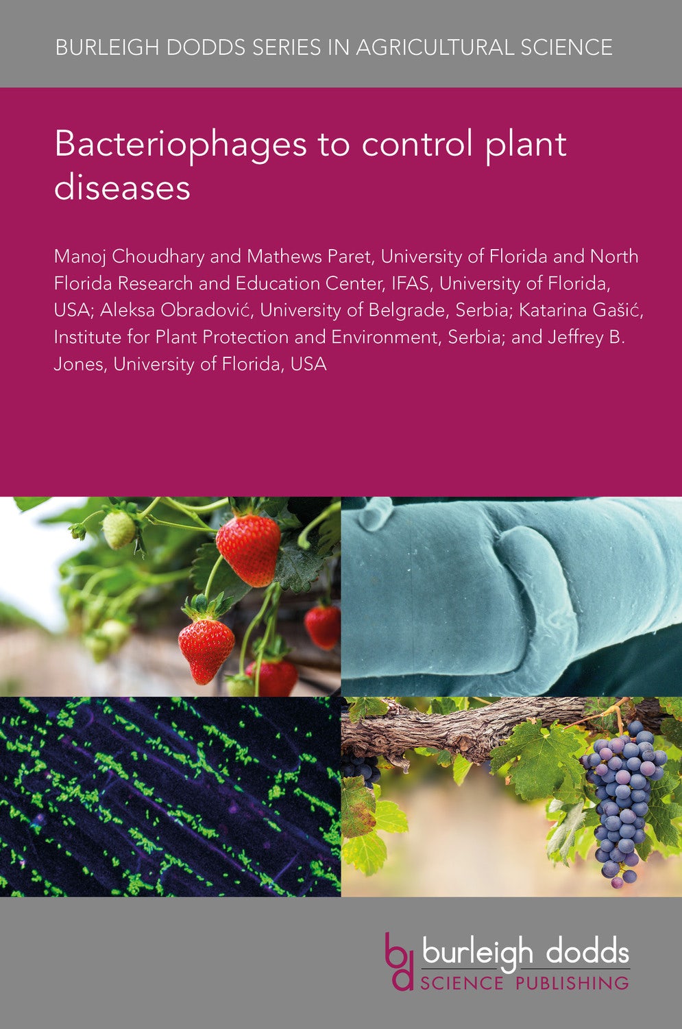 Bacteriophages to control plant diseases