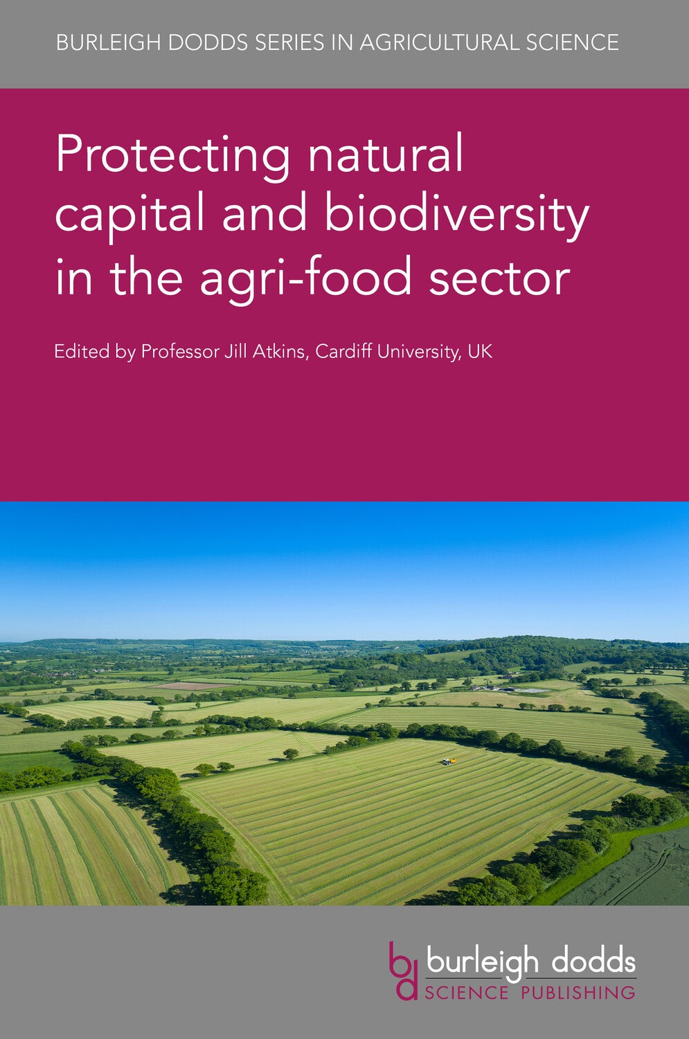 Book cover image for Protecting natural capital and biodiversity in the agri-food sector ISBN: 9781801463539