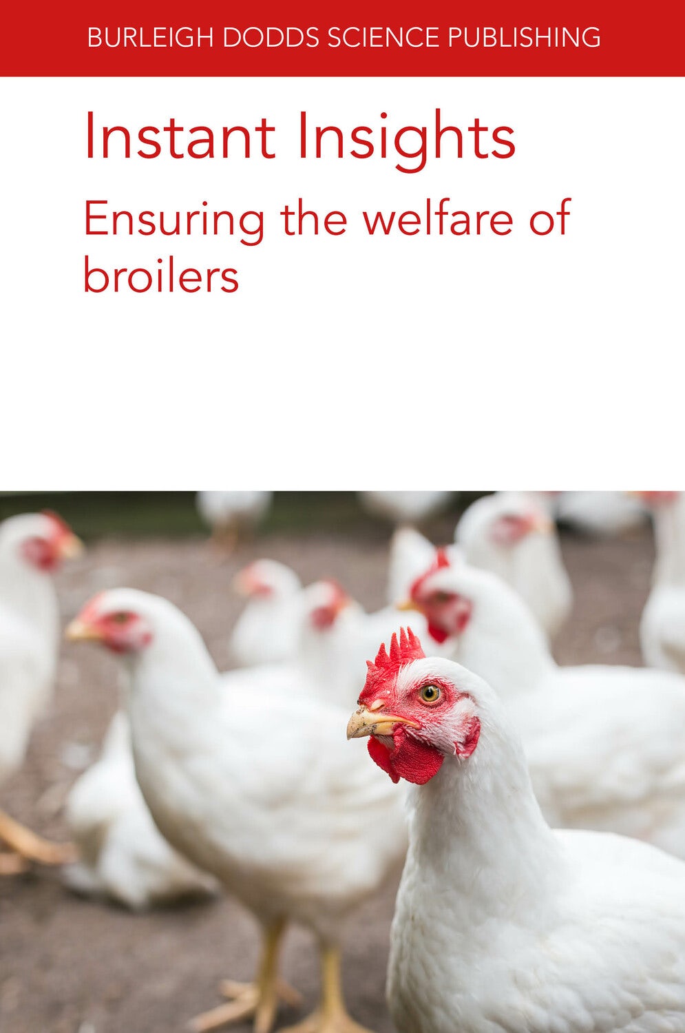 Book cover image for Instant Insights: Ensuring the welfare of broilers ISBN: 9781801466738