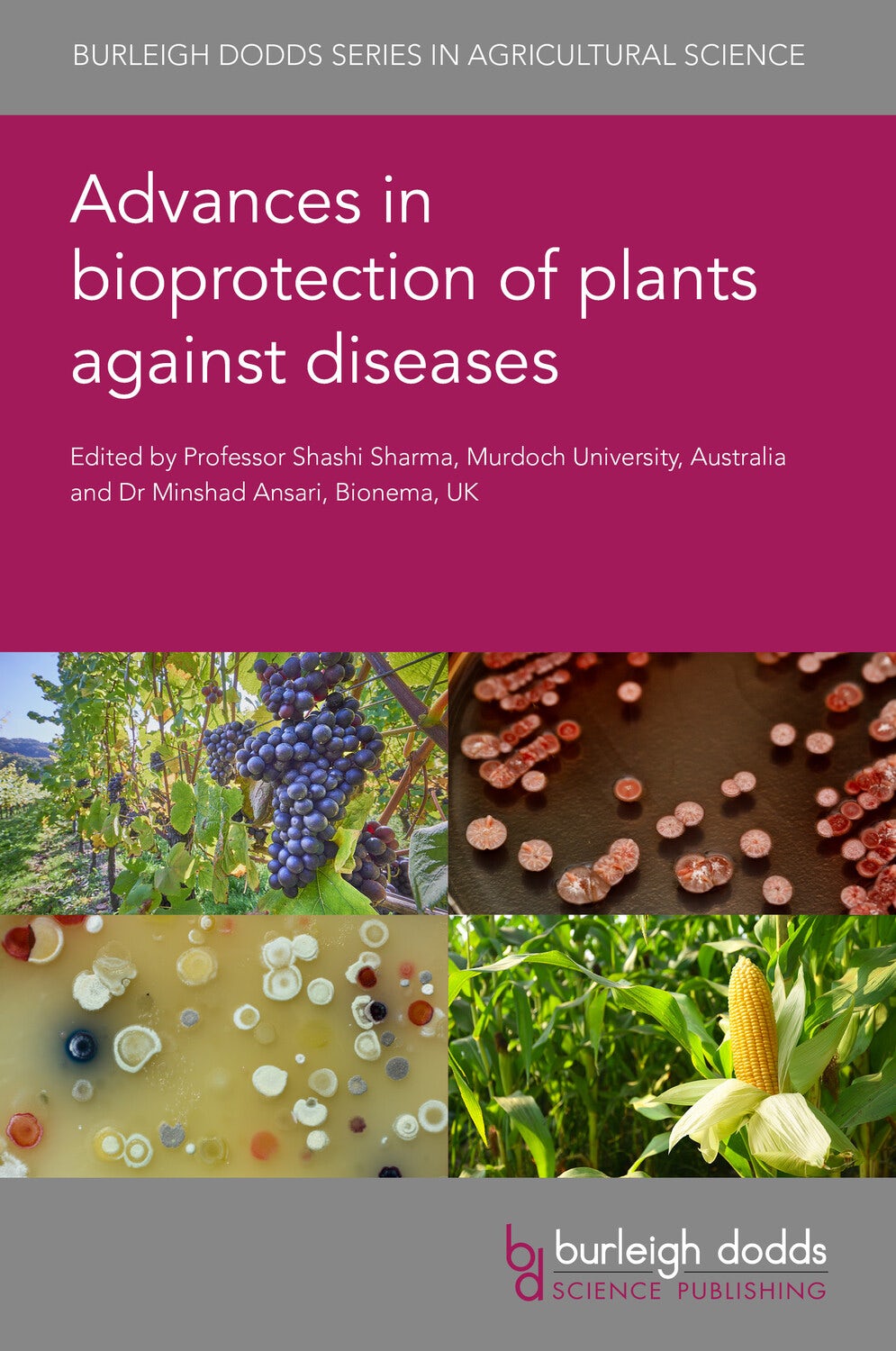 Book cover image for Advances in bioprotection of plants against diseases ISBN: 9781801467308