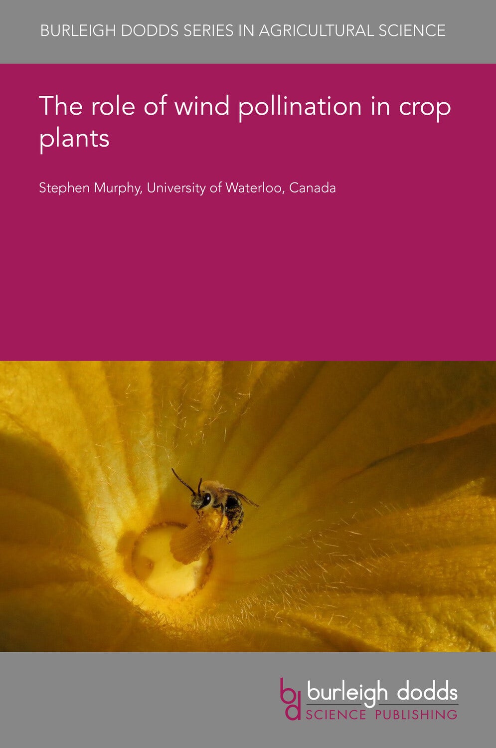 Book cover image for The role of wind pollination in crop plants ISBN: 9781801467490