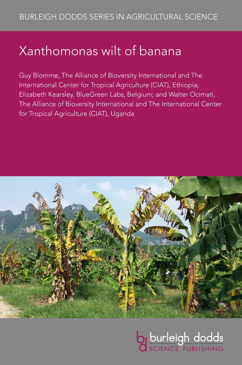 Book cover image for Xanthomonas wilt of banana ISBN: 9781801467674