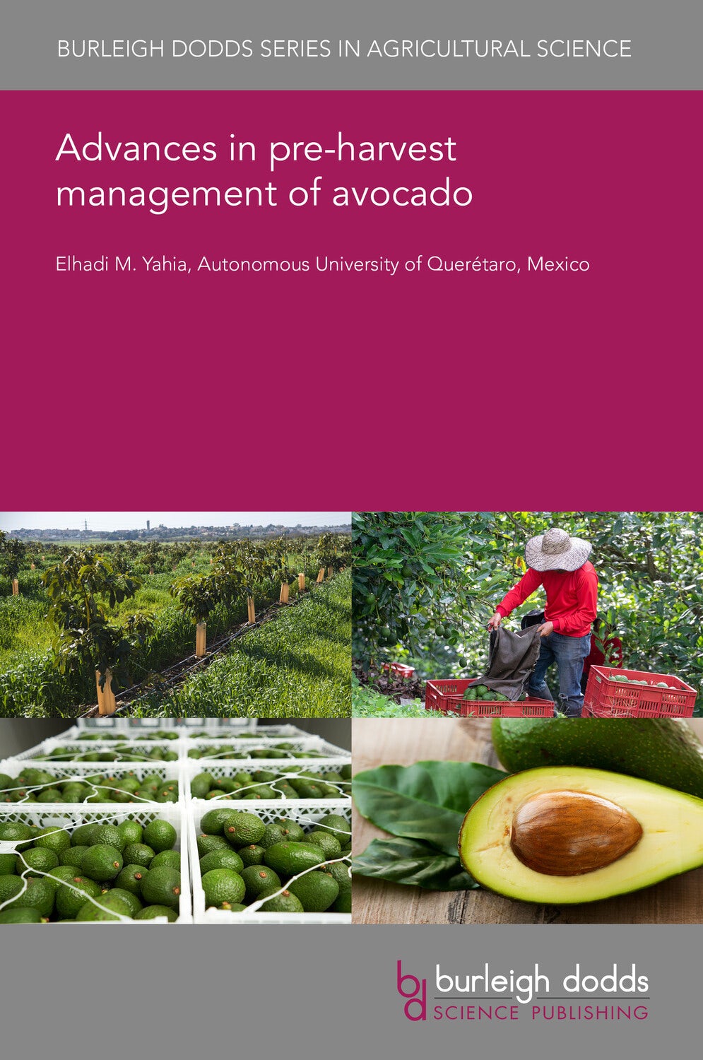 Book cover image for Advances in pre-harvest management of avocado ISBN: 9781801468268