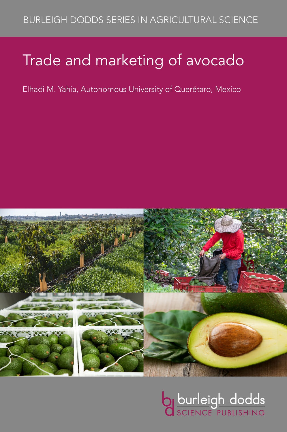 Book cover image for Trade and marketing of avocado ISBN: 9781801468299