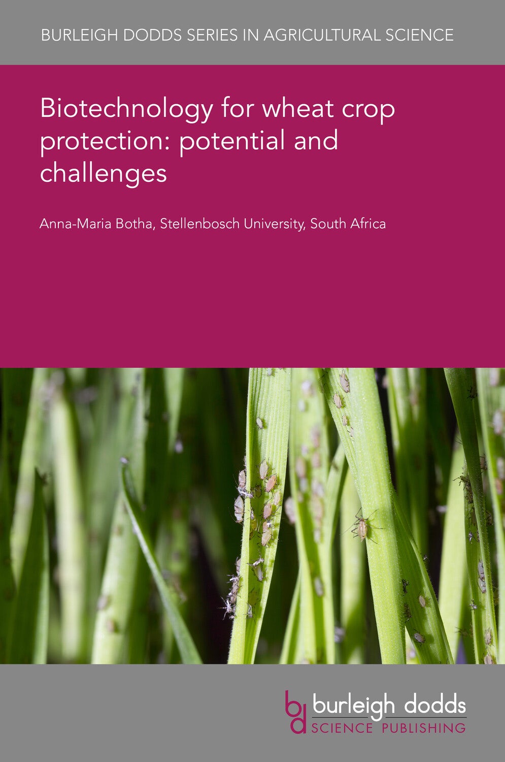 Book cover image for Biotechnology for wheat crop protection: potential and challenges ISBN: 9781801468572