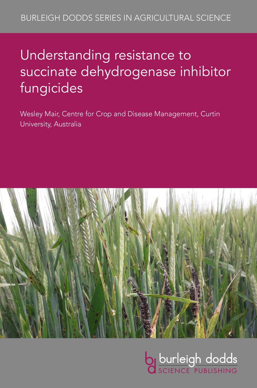 Book cover image for Understanding resistance to succinate dehydrogenase inhibitor fungicides ISBN: 9781801469685
