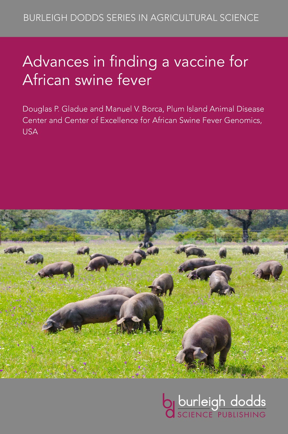 Book cover image for Advances in finding a vaccine for African swine fever ISBN: 9781801469869