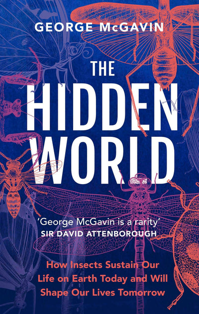 Cover image for The Hidden World, isbn: 9781802794939