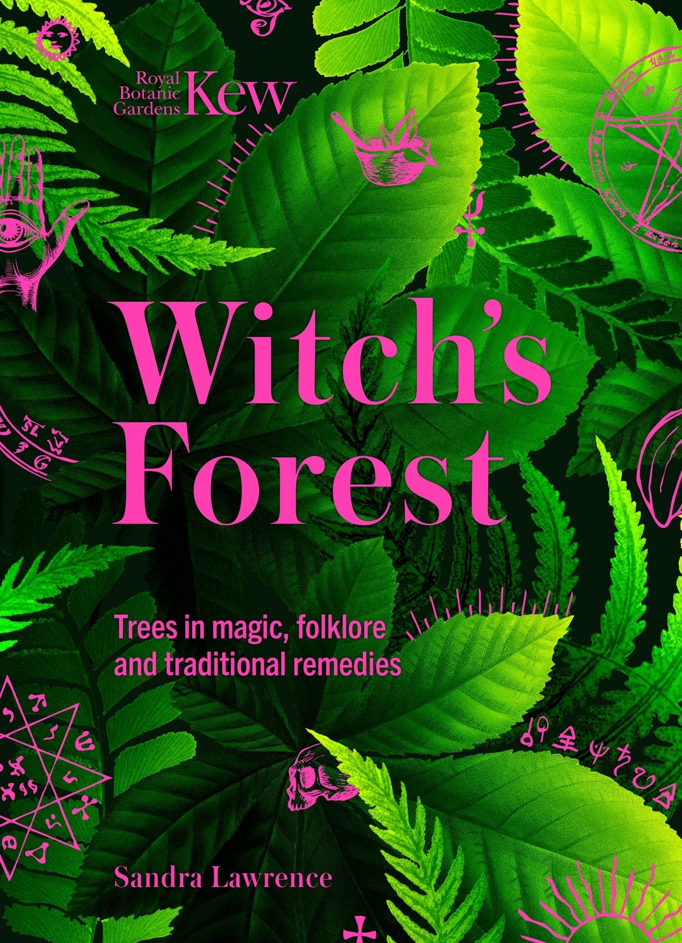 Book cover image for Witch's Forest ISBN: 9781802795370