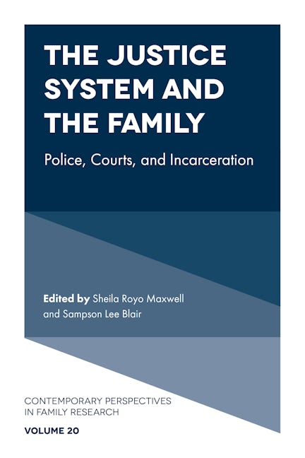 Book cover image for The Justice System and the Family ISBN: 9781803823607