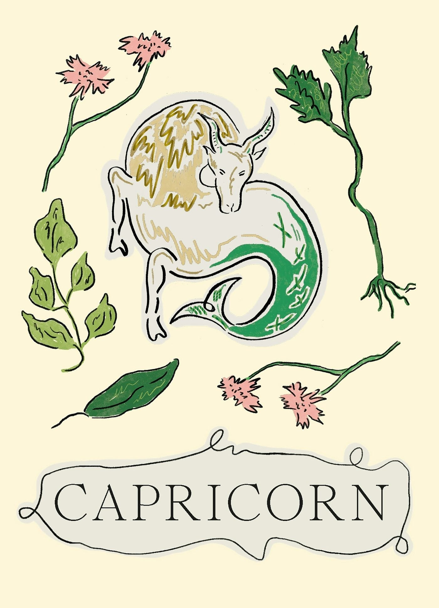 Book cover image for Capricorn ISBN: 9781804530023