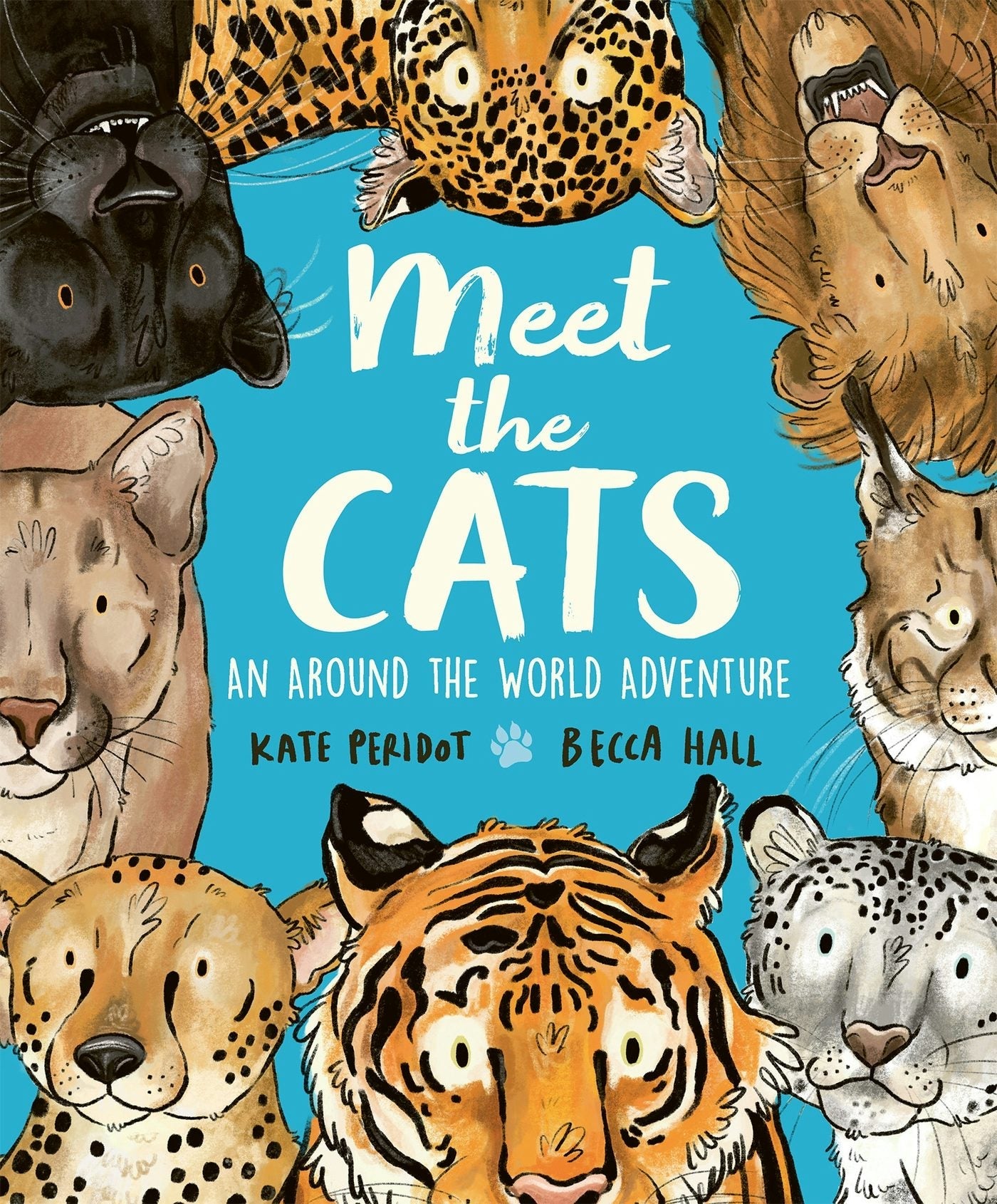 Book cover image for Meet the Cats ISBN: 9781804535714