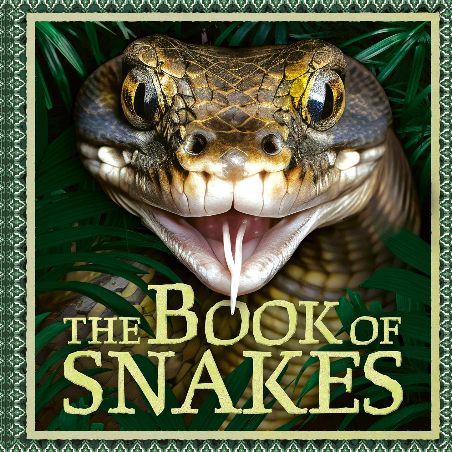Book cover image for The Book of Snakes ISBN: 9781804536766