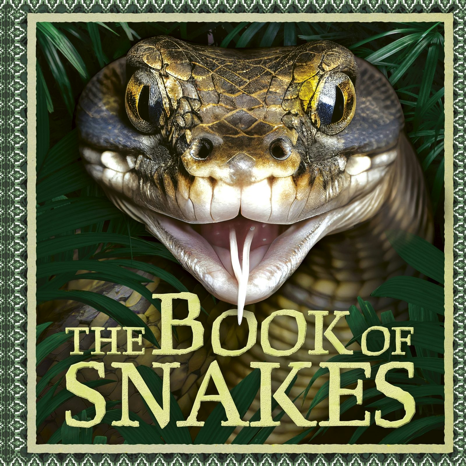 Book cover image for The Book of Snakes ISBN: 9781804536766