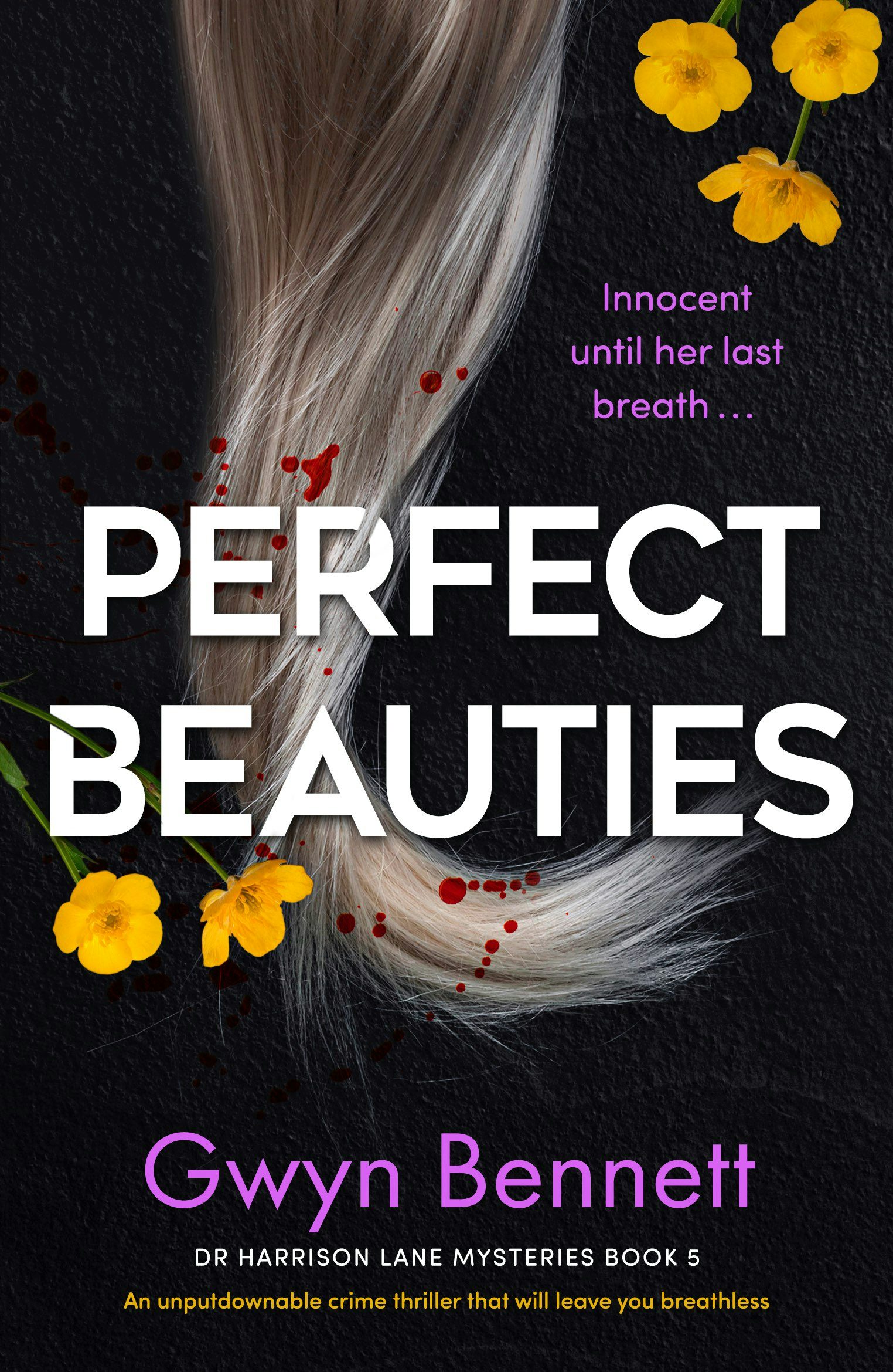 Book cover image for Perfect Beauties ISBN: 9781805080220