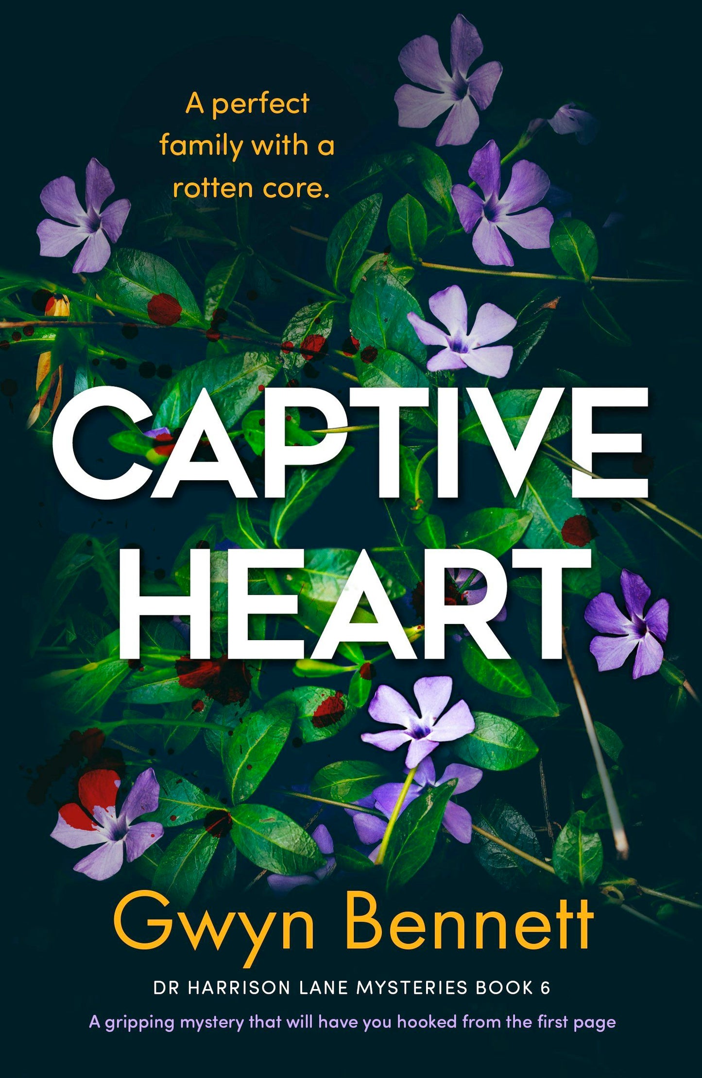 Book cover image for Captive Heart ISBN: 9781805080244