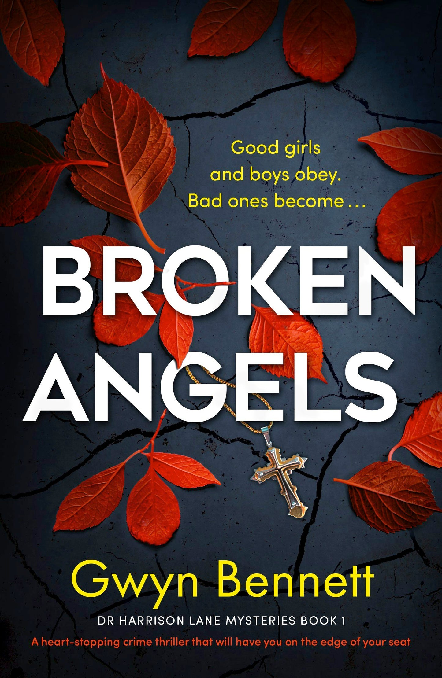 Book cover image for Broken Angels ISBN: 9781805080305