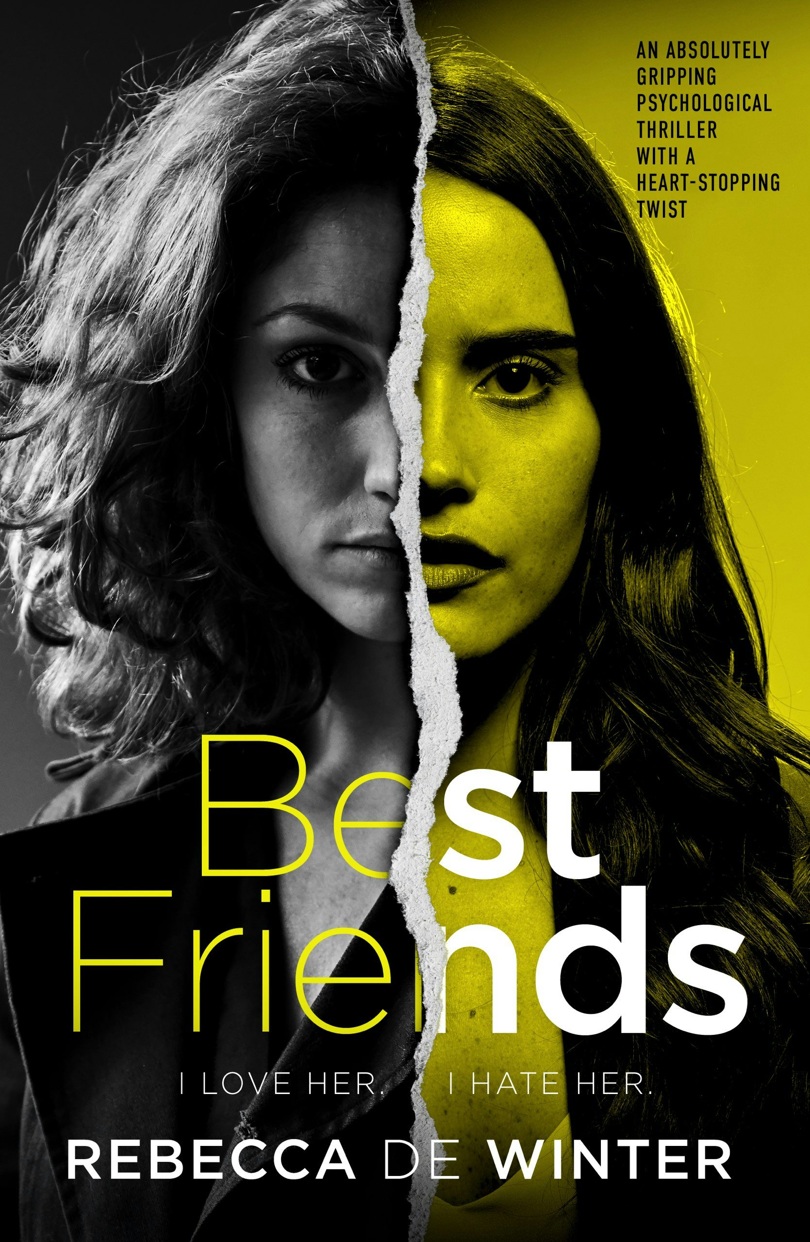 Book cover image for Best Friends ISBN: 9781805080657