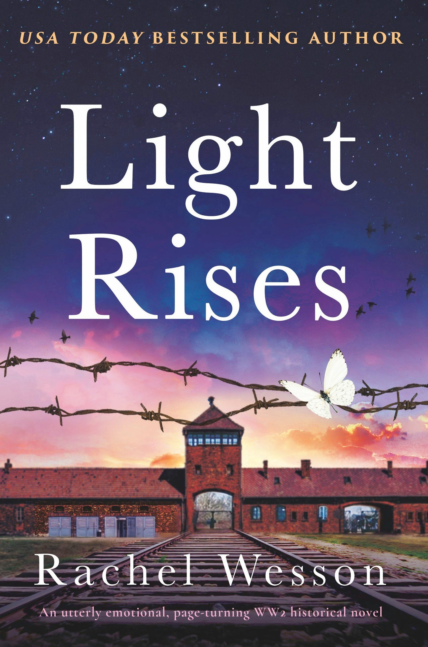 Book cover image for Light Rises ISBN: 9781805081326