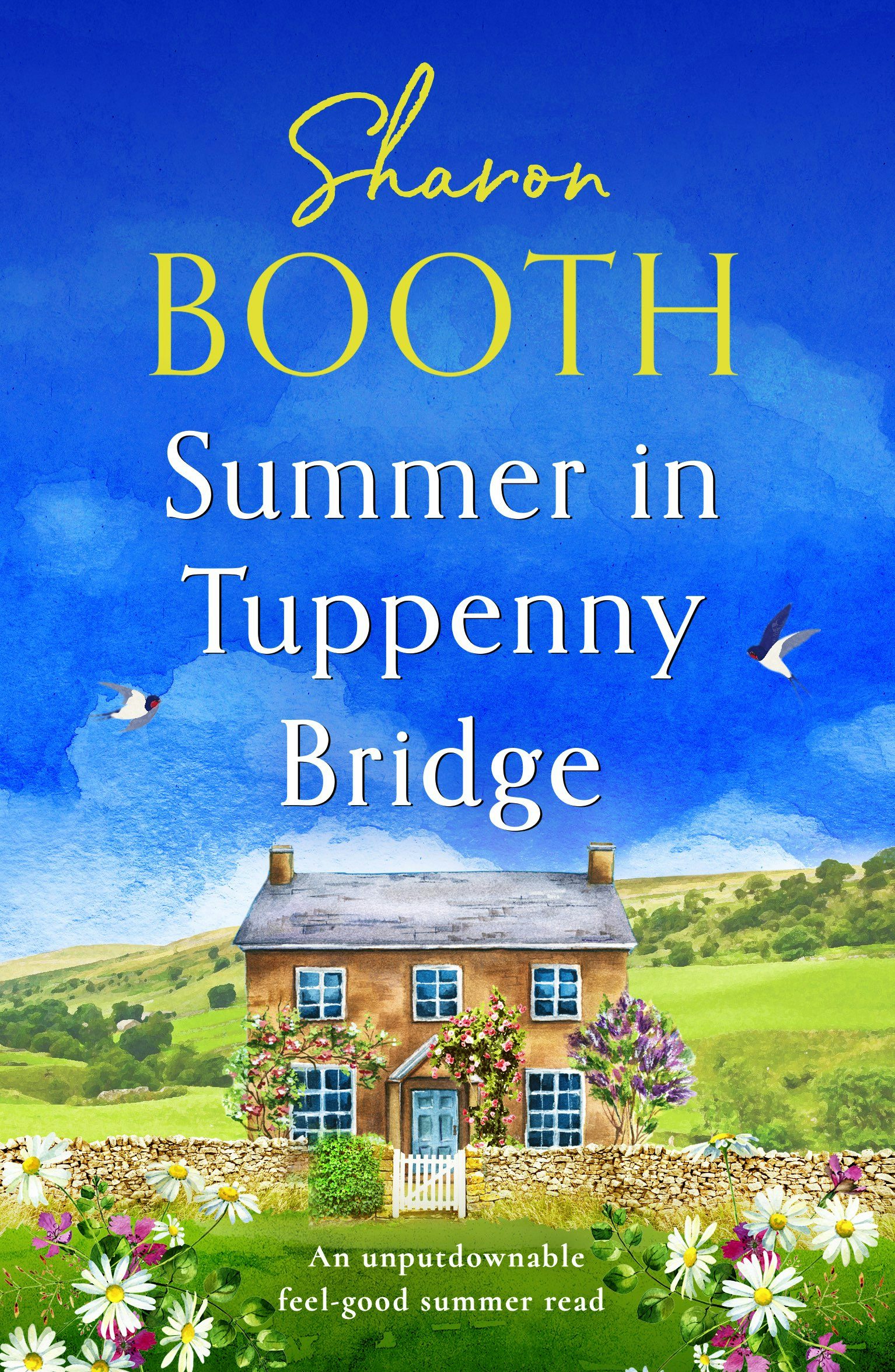 Book cover image for Second Chances in Tuppenny Bridge ISBN: 9781805081579