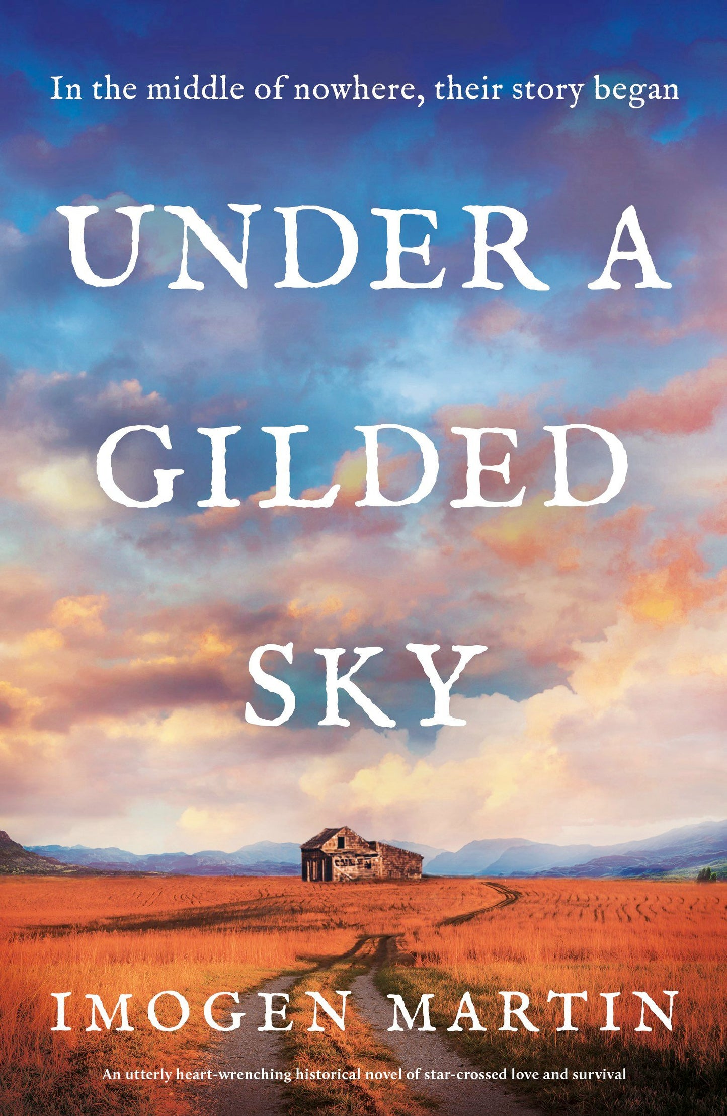 Book cover image for Under a Gilded Sky ISBN: 9781805081739