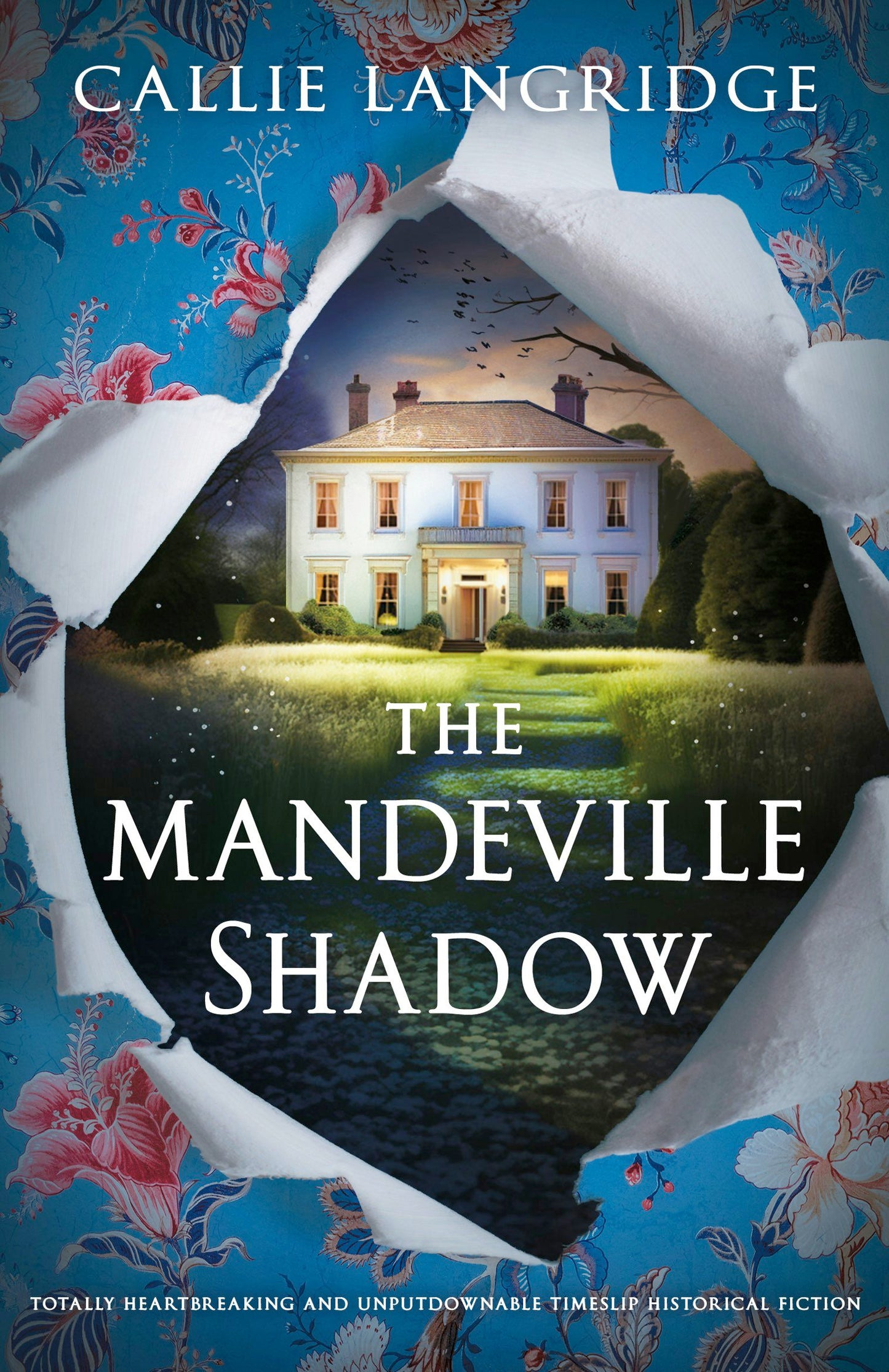 Book cover image for The Mandeville Shadow ISBN: 9781805082996