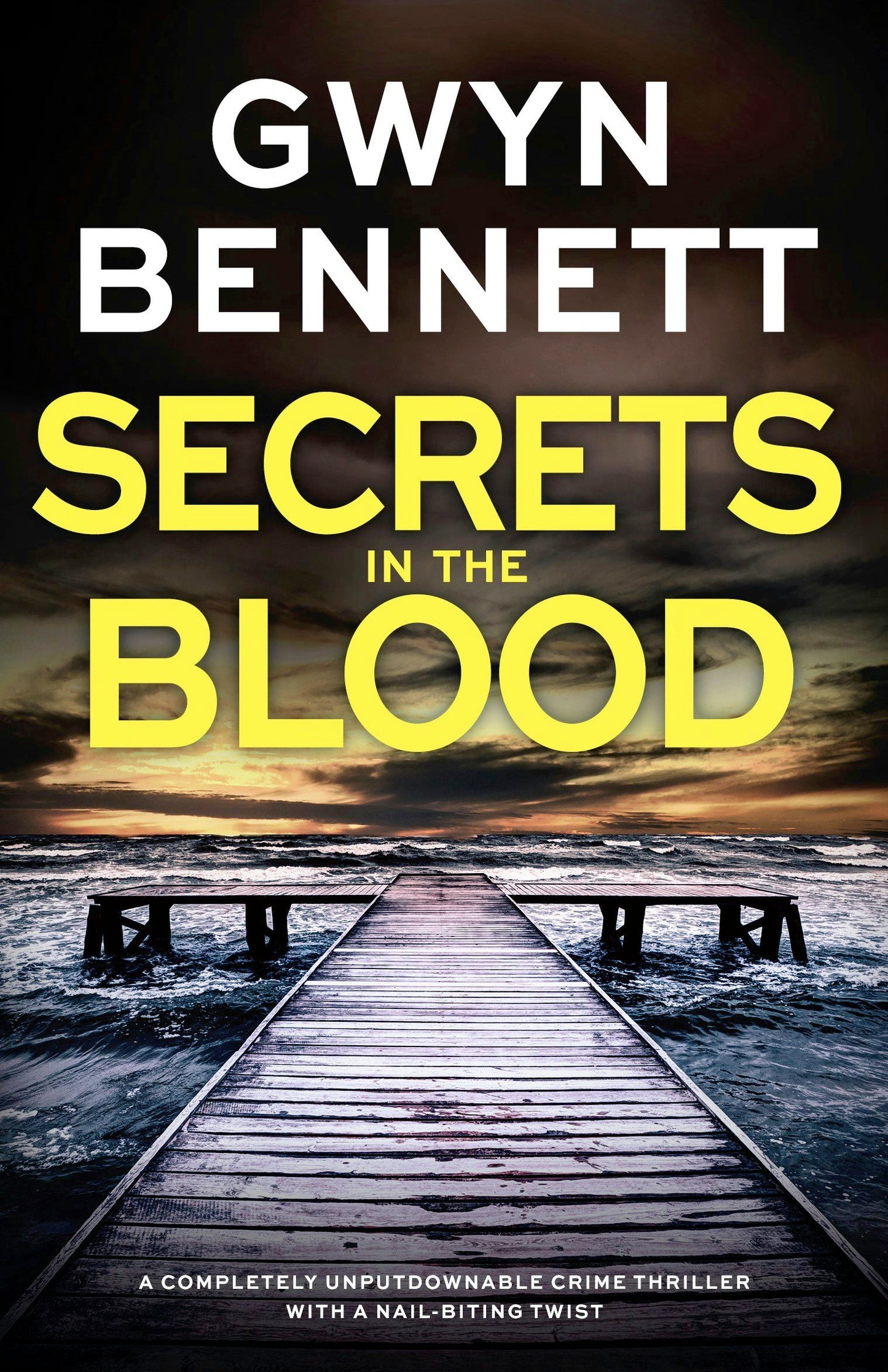 Book cover image for Secrets in the Blood ISBN: 9781805083115