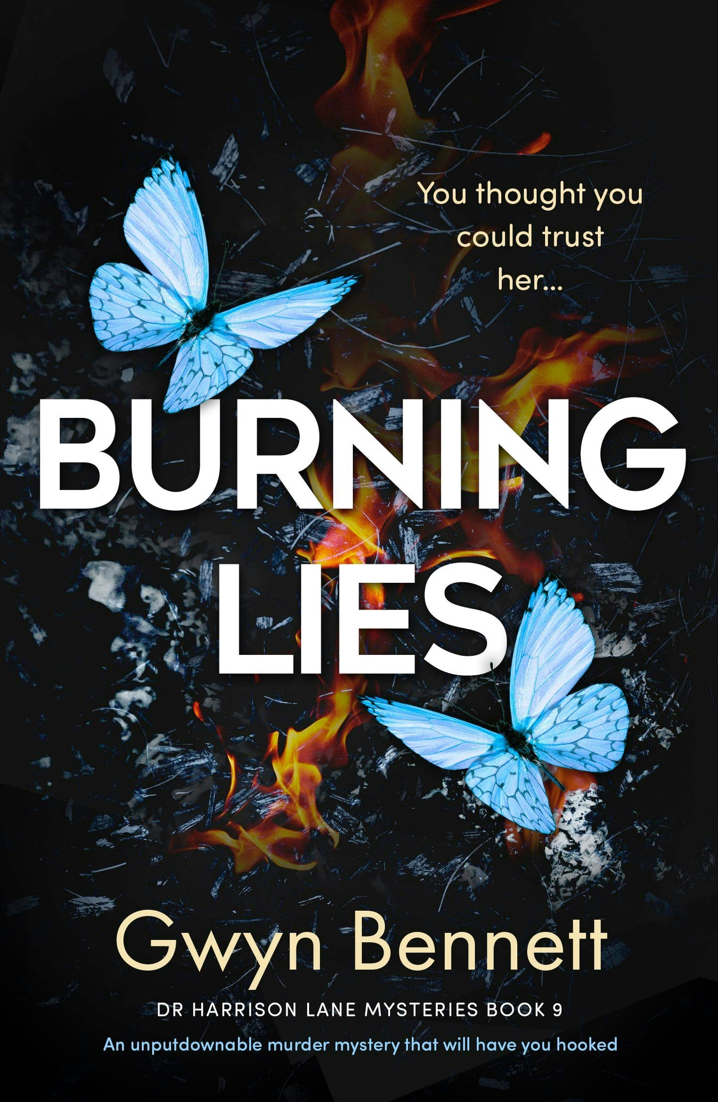 Book cover image for Burning Lies ISBN: 9781805083771