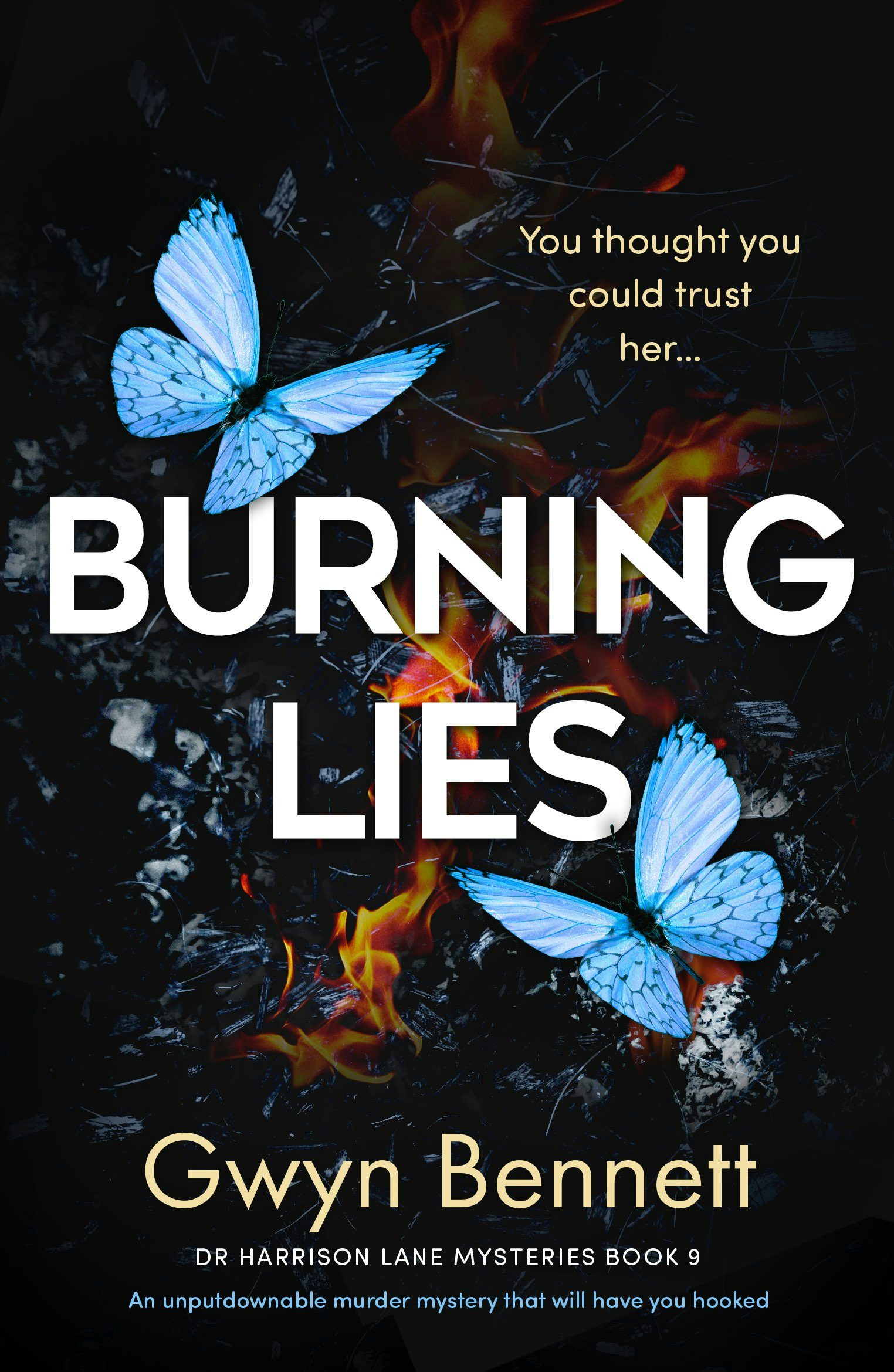 Book cover image for Burning Lies ISBN: 9781805083771