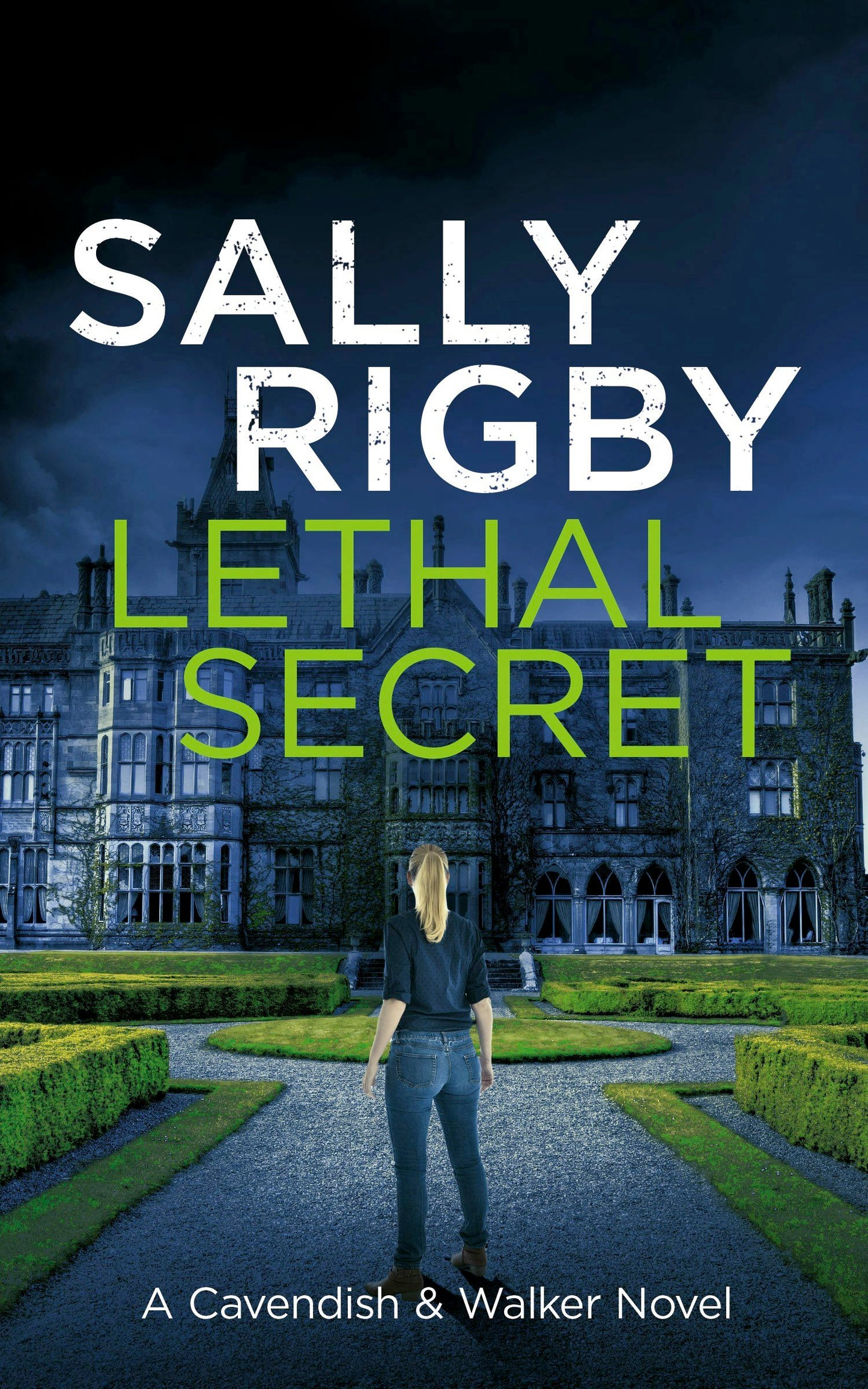 Book cover image for Lethal Secret ISBN: 9781805085737