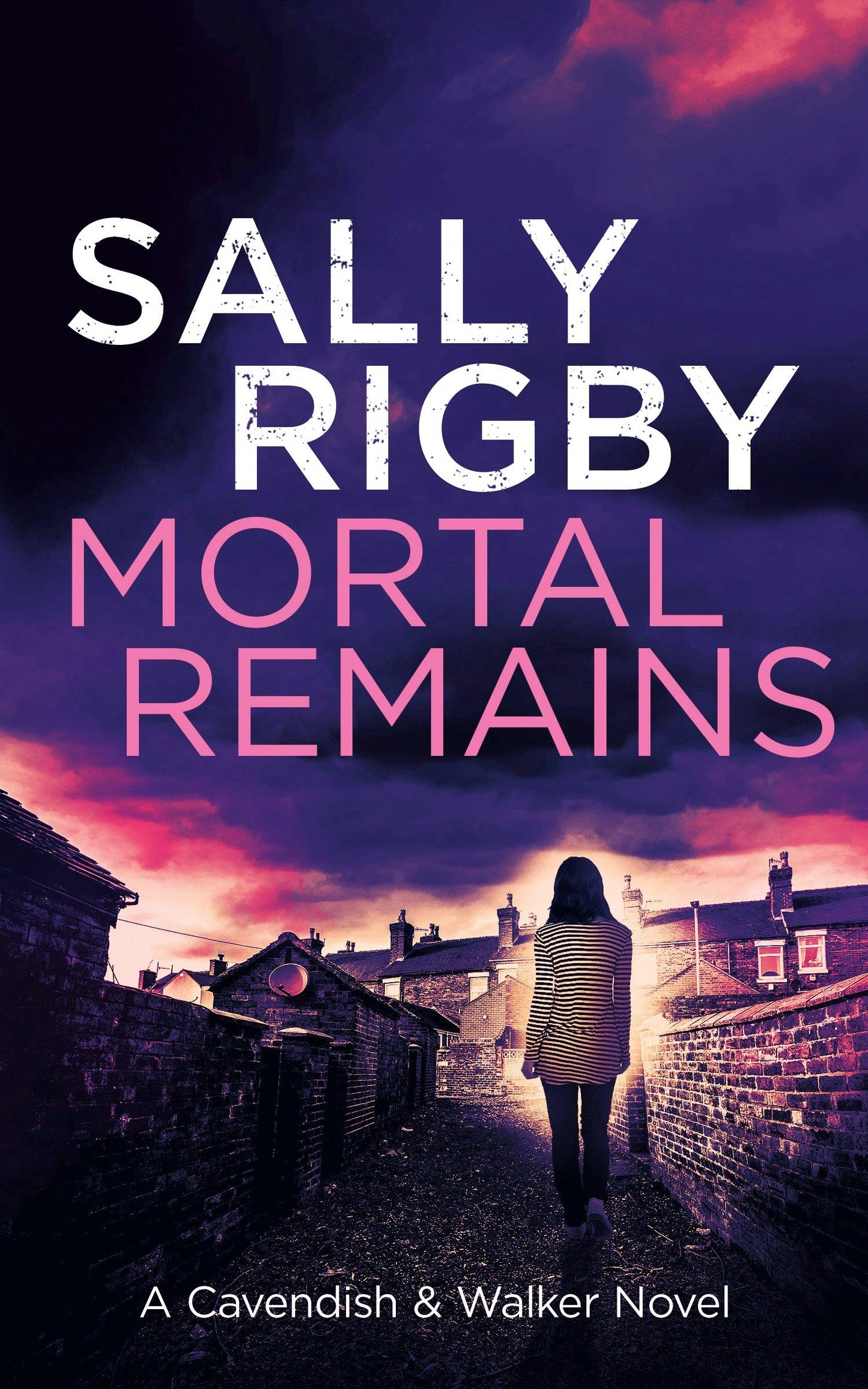Book cover image for Mortal Remains ISBN: 9781805085812