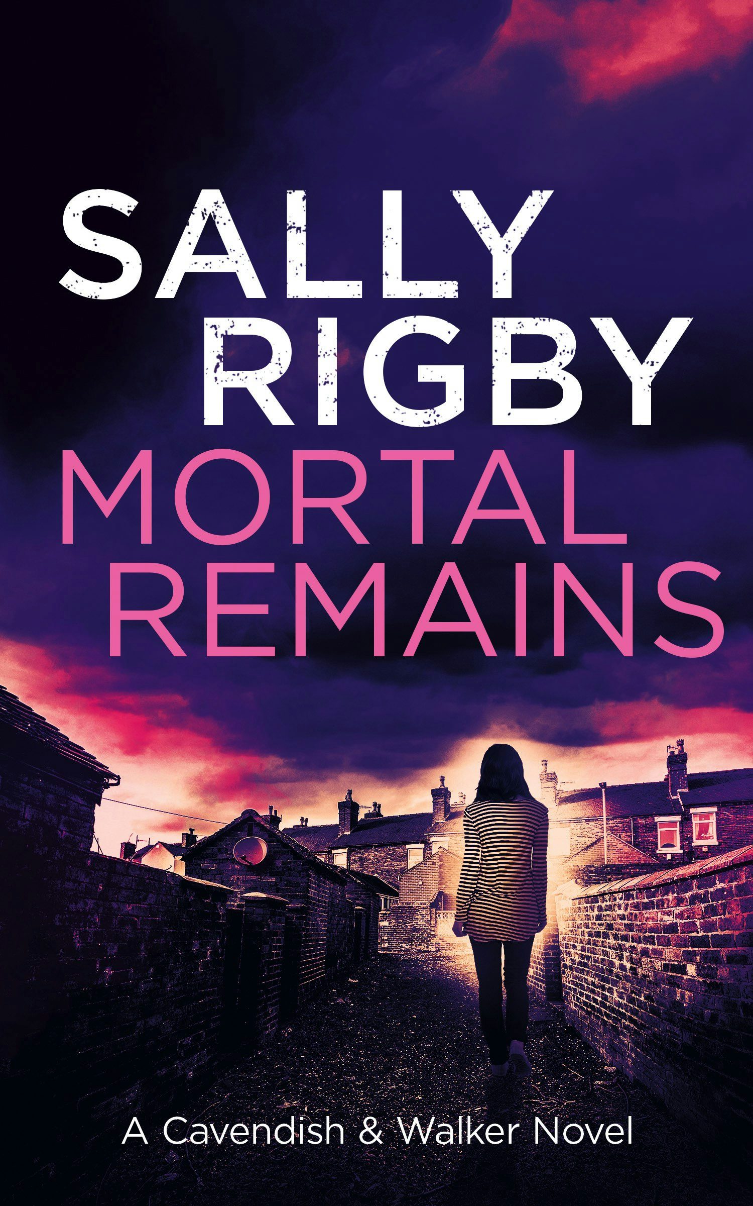 Book cover image for Mortal Remains ISBN: 9781805085812