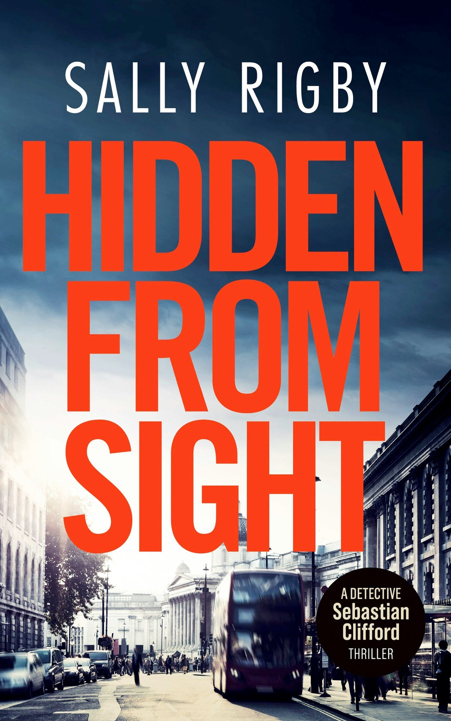 Book cover image for Hidden From Sight ISBN: 9781805086260