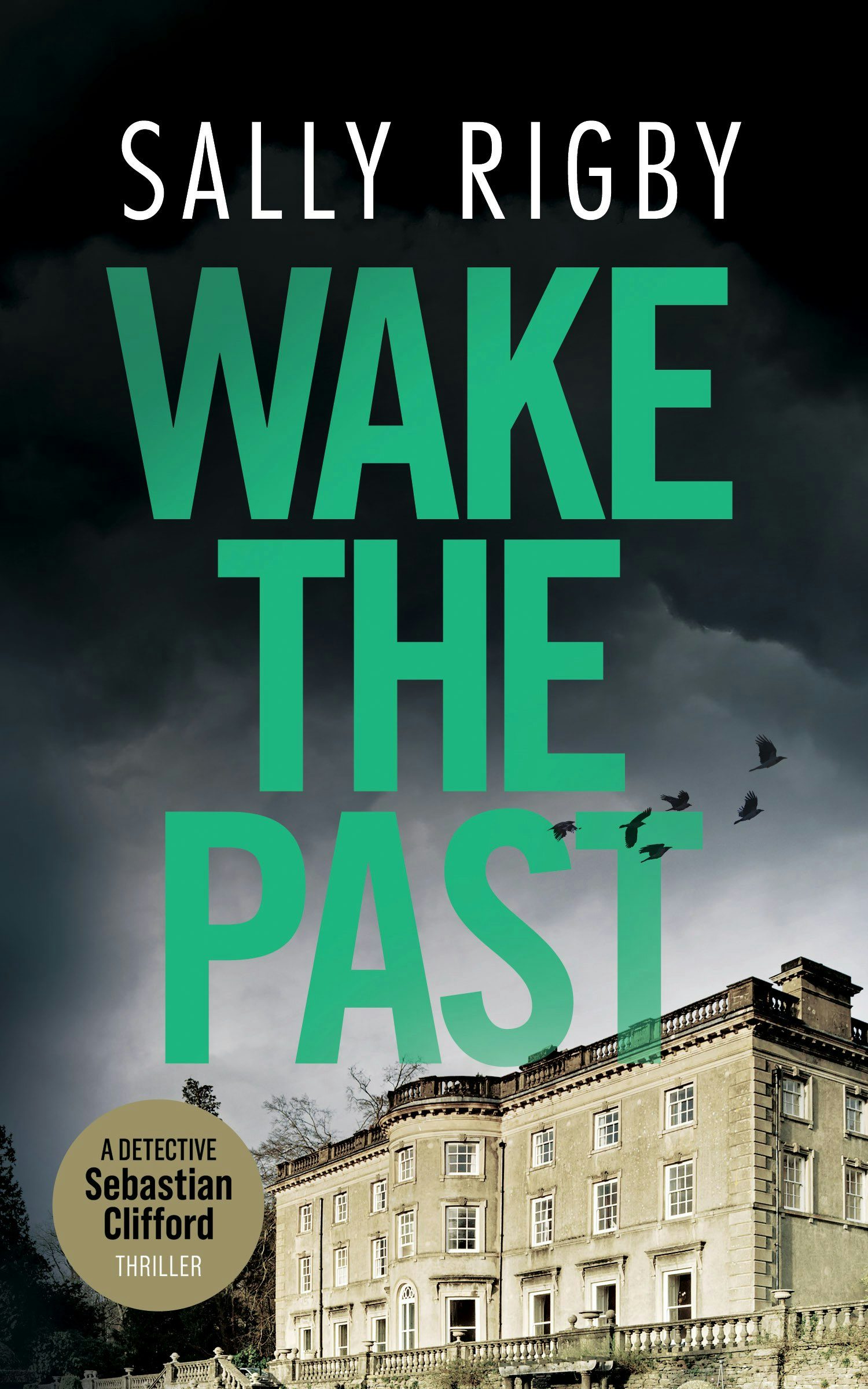 Book cover image for Wake the Past ISBN: 9781805086284