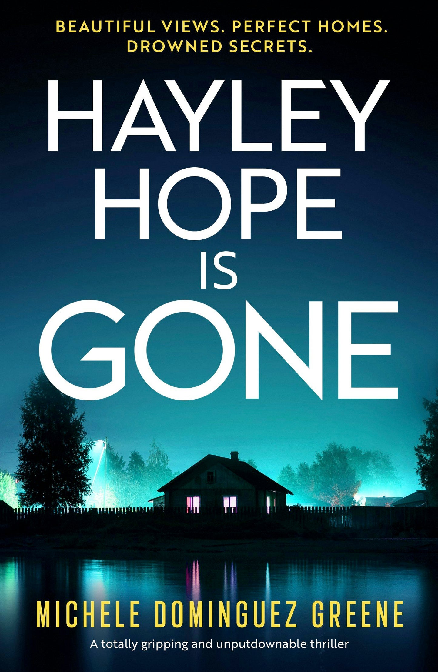 Book cover image for Hayley Hope Is Gone ISBN: 9781805088141