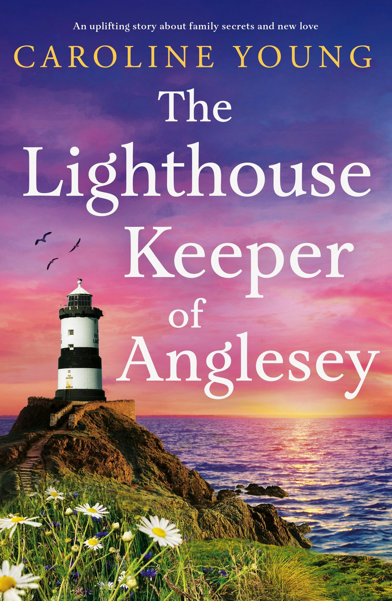 Book cover image for The Lighthouse Keeper of Anglesey ISBN: 9781805089148