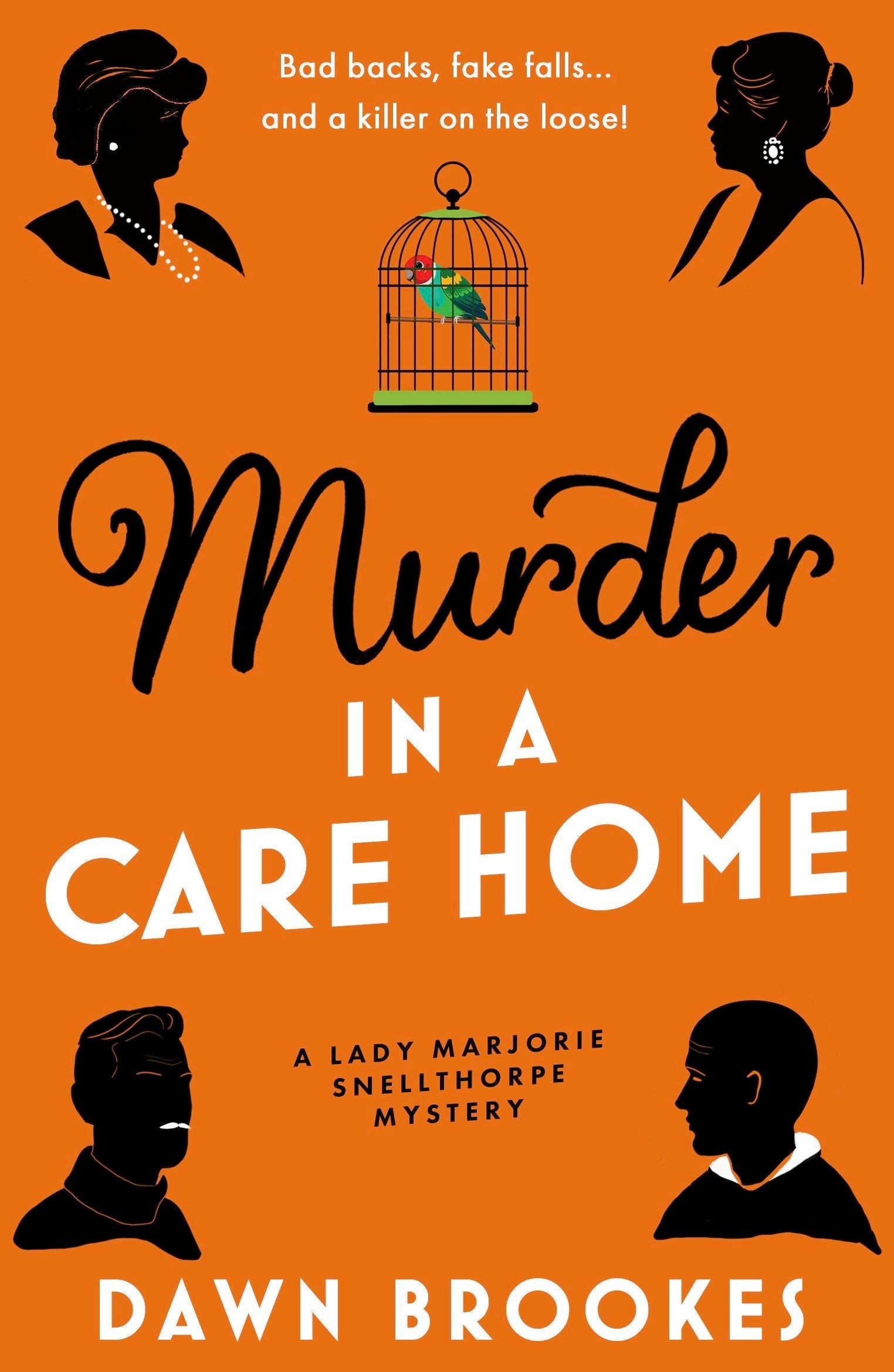 Book cover image for Murder in a Care Home ISBN: 9781805089445