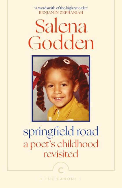 Book cover image for Springfield Road ISBN: 9781805300243