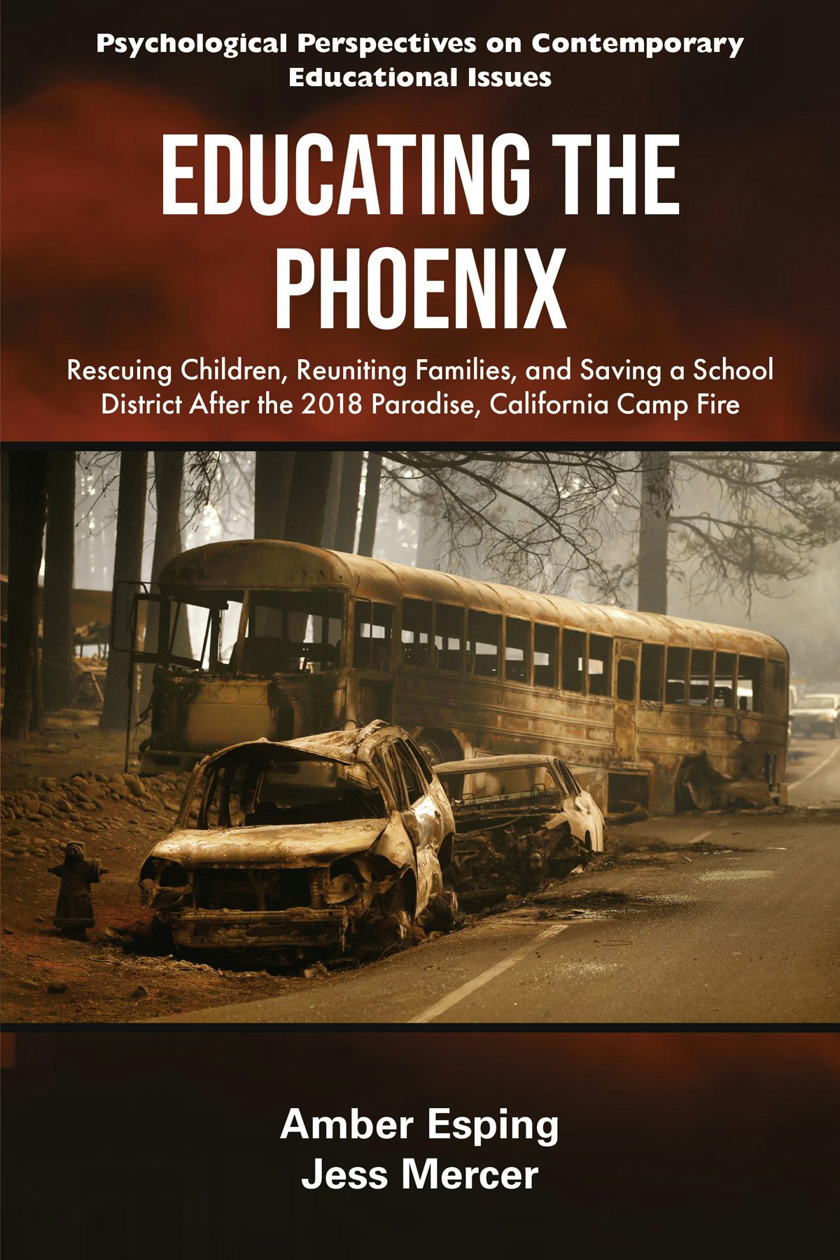 Book cover image for Educating the Phoenix ISBN: 9781805924326