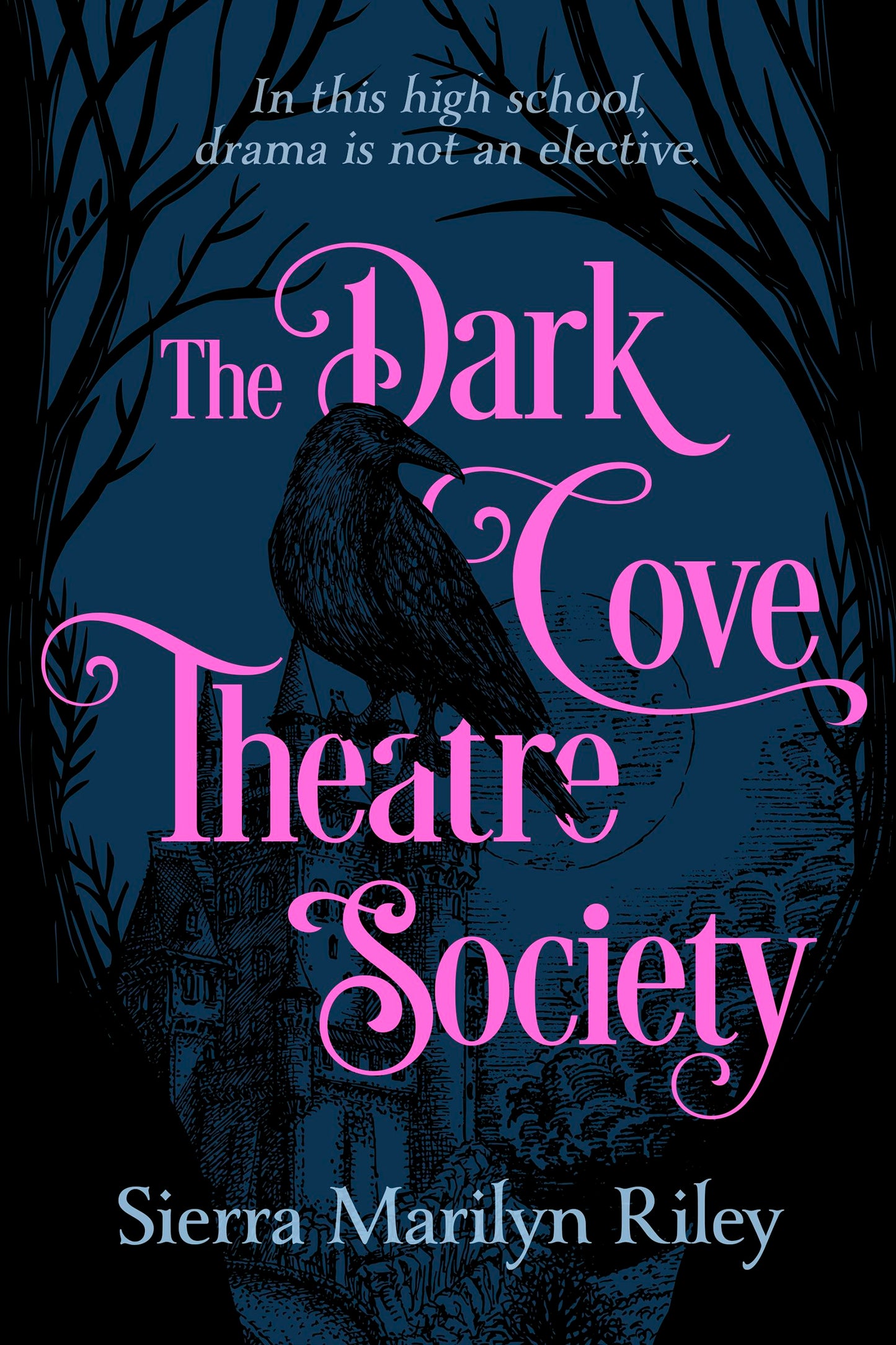 Book cover image for The Dark Cove Theatre Society ISBN: 9781834020099