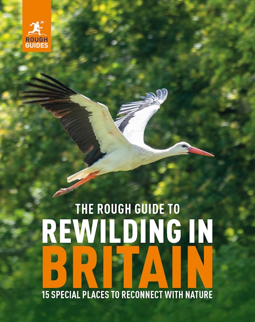 Book cover image for The Rough Guide to Rewilding in Britain ISBN: 9781835290118