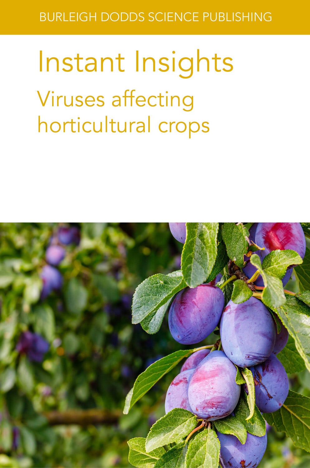 Book cover image for Instant Insights: Viruses affecting horticultural crops ISBN: 9781835450048