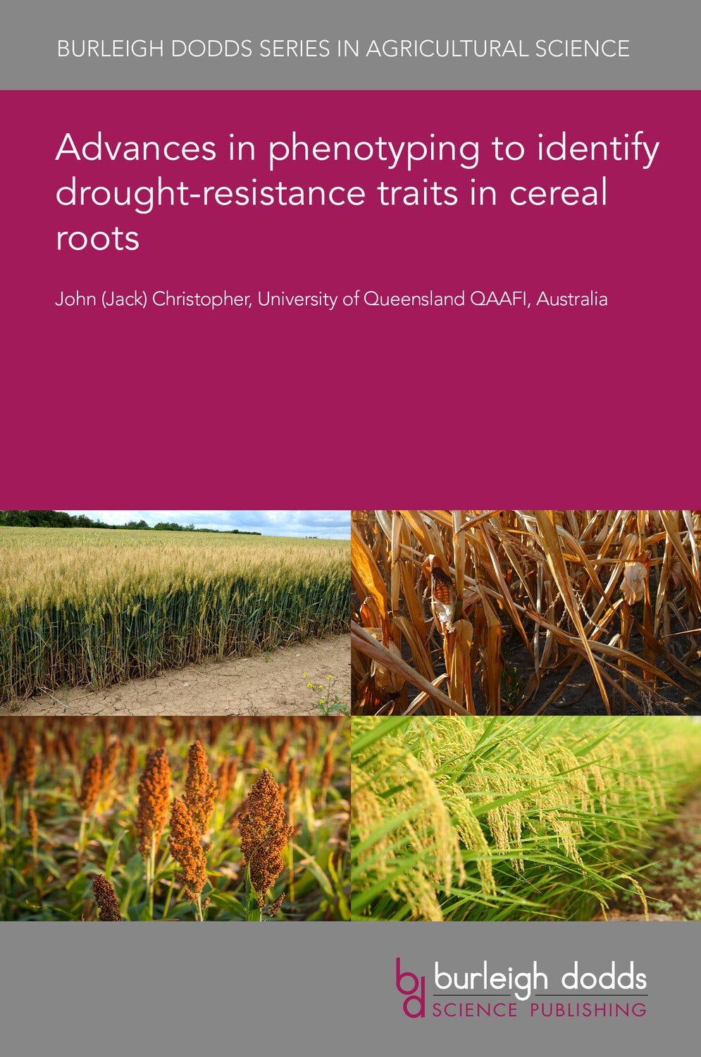 Book cover image for Advances in phenotyping to identify drought-resistance traits in cereal roots ISBN: 9781835450291